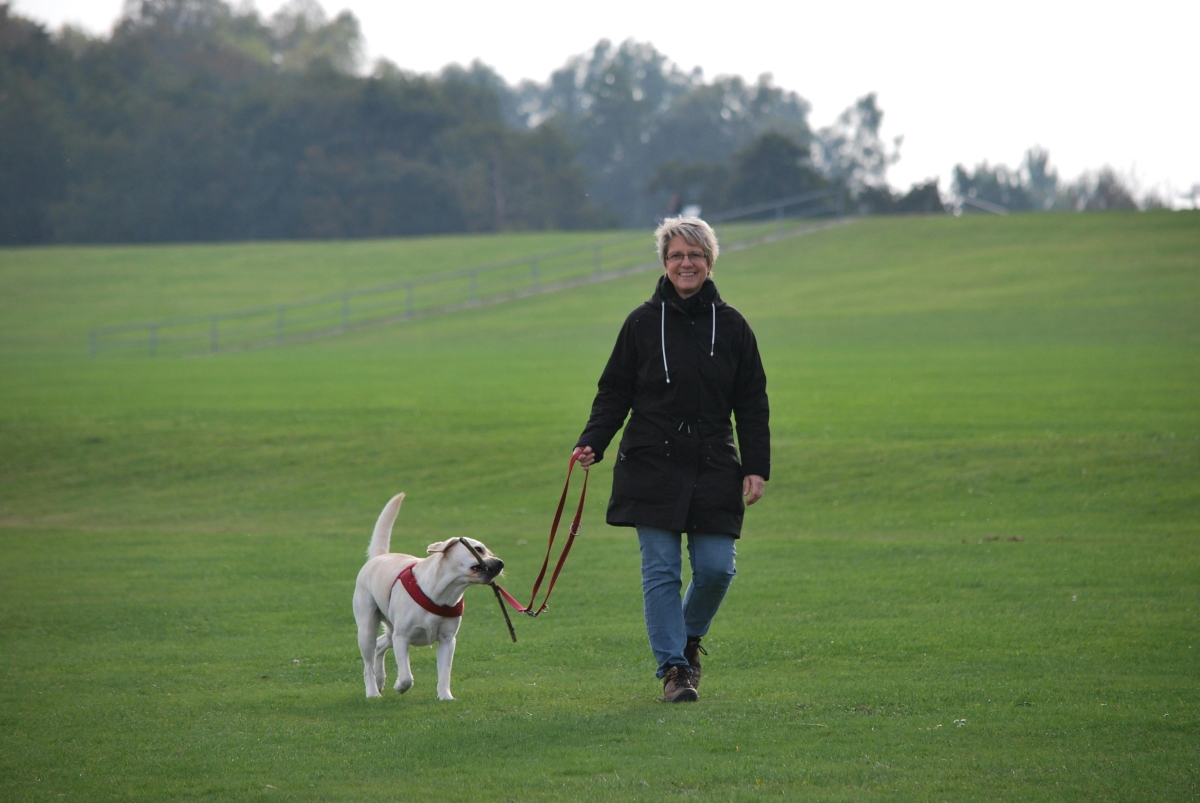 A woman walking a dog through a field