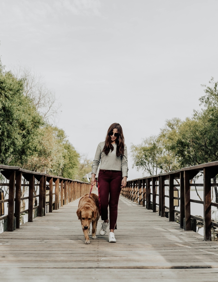 A woman walking a dog on a bridge