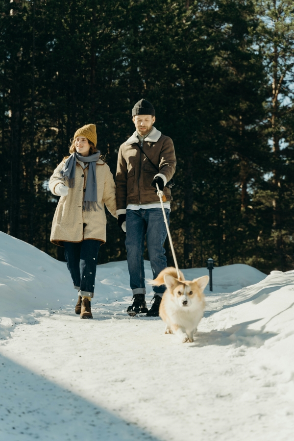 A couple walking a dog through a snowy forest