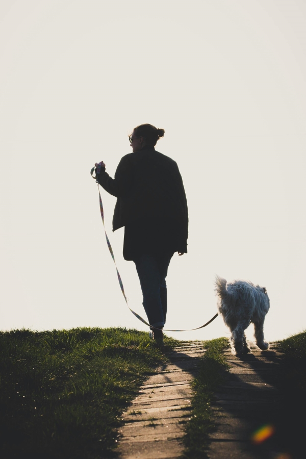 A woman walking a dog over a bridge