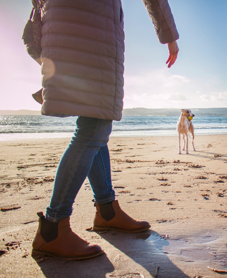 A woman playing fetch with a dog on the beach