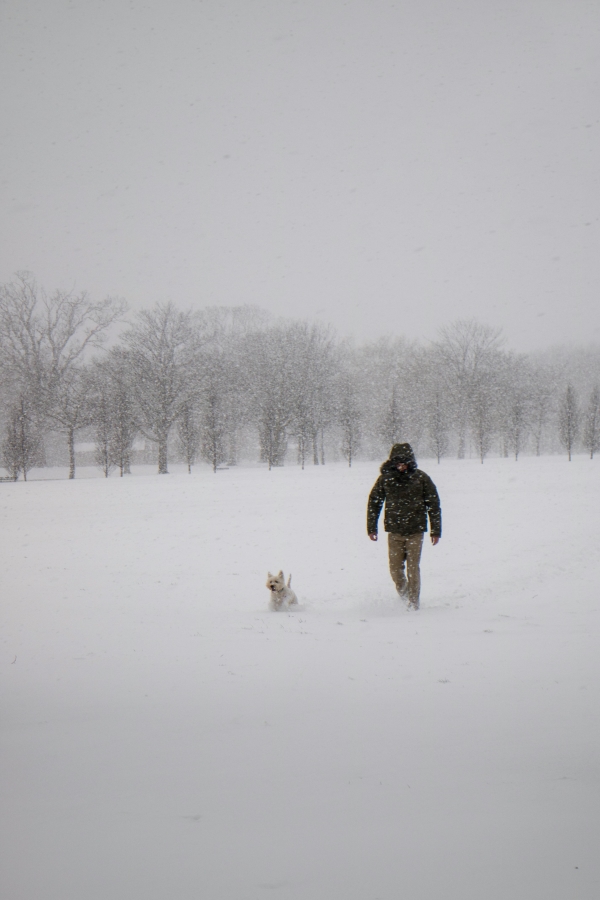 A man walking his dog through a snow storm