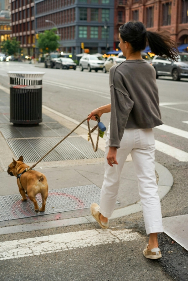 A person walking their dog in the city