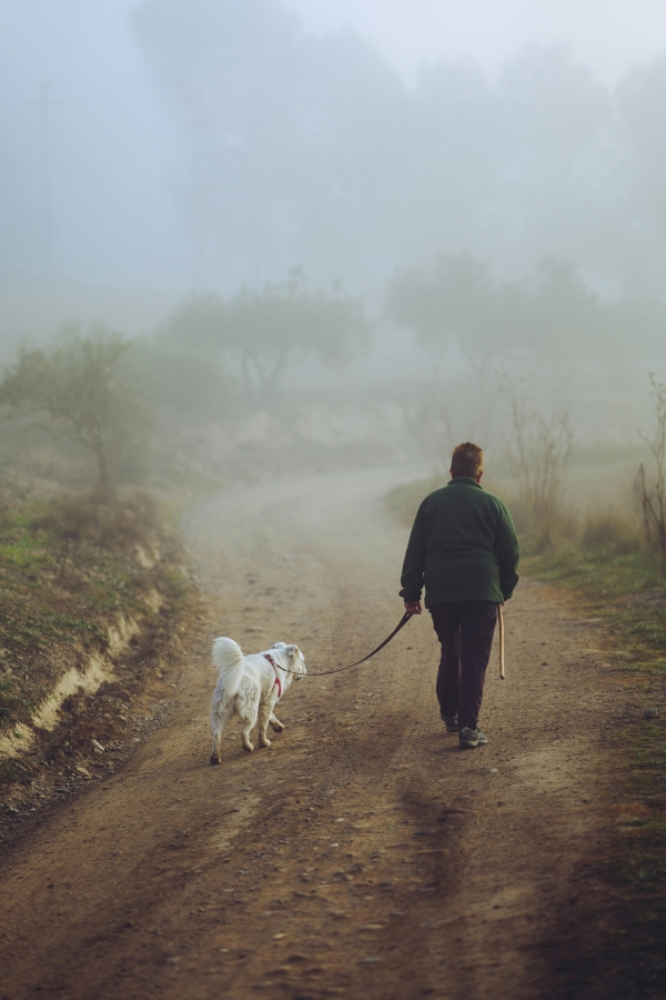 A man walking a dog down a misty dirt road