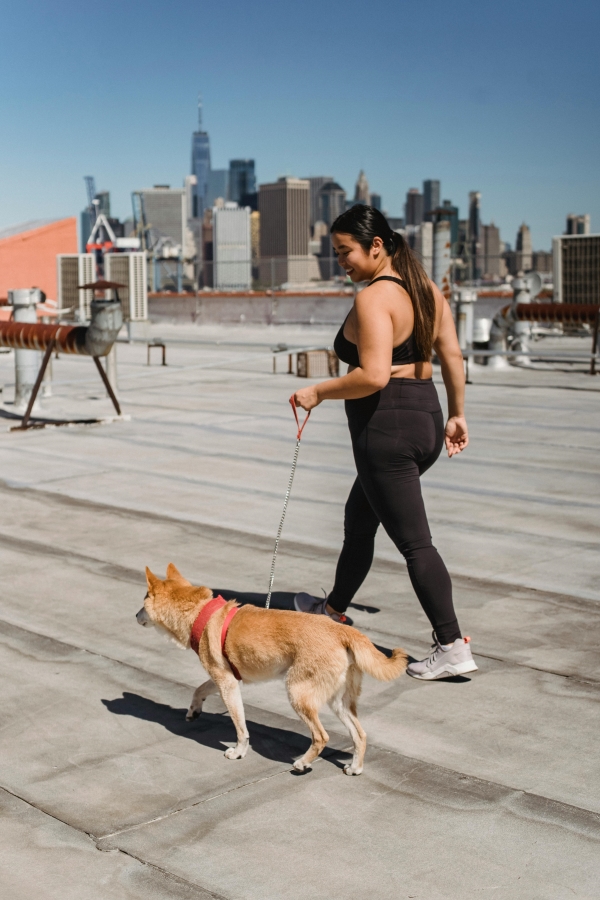 A woman walking her dog with a city view